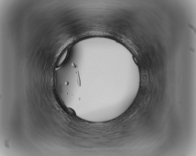 X0000097770015200803281650