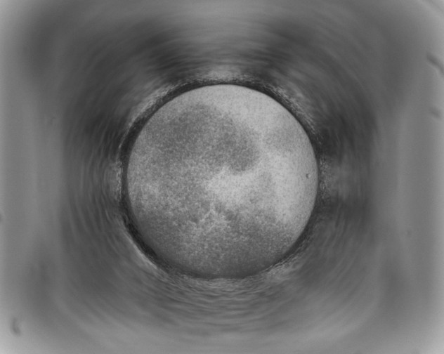 X0000097770016200803281650