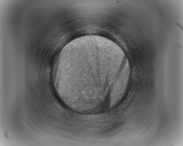 X0000097770018200803281649