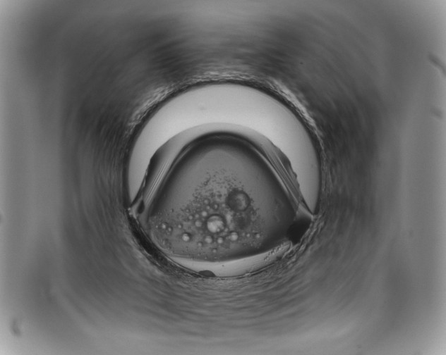 X0000097770019200803281649