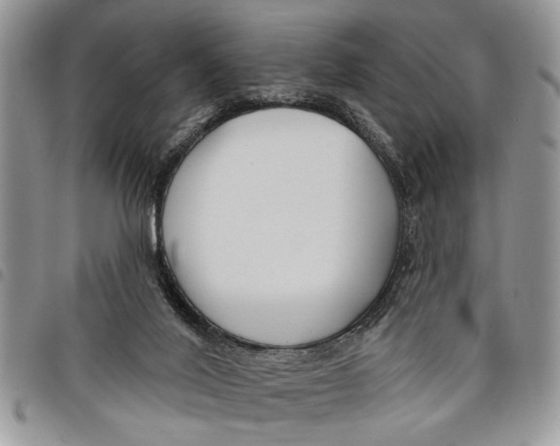 X0000097770020200803281649