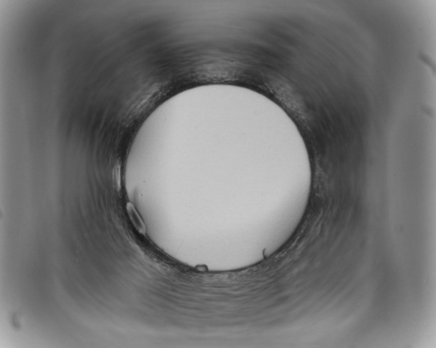 X0000097770021200803281649