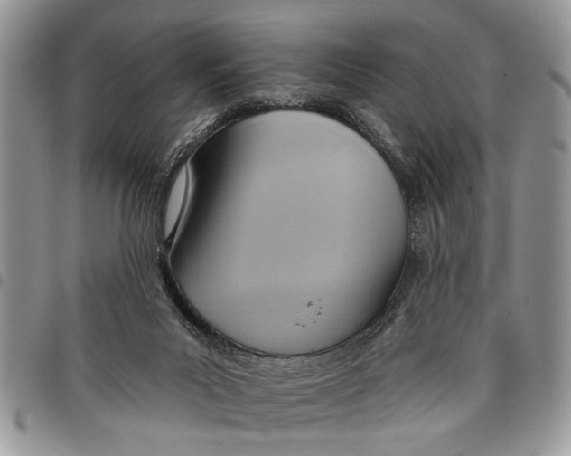 X0000097770023200803281649