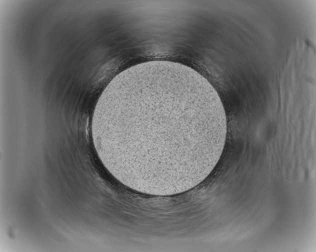 X0000097770024200803281649