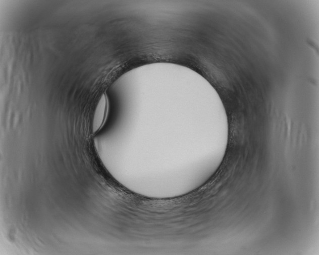 X0000097770025200803281649