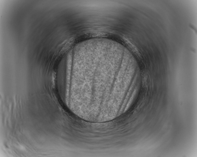 X0000097770026200803281649