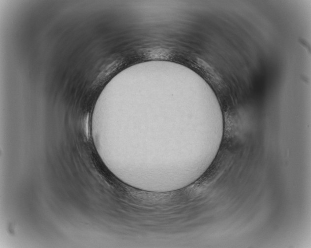 X0000097770028200803281649