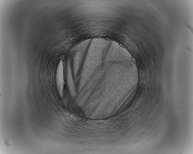 X0000097770029200803281649