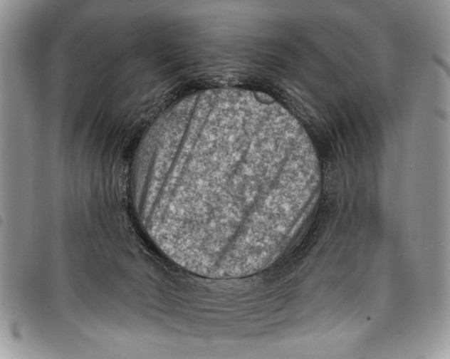 X0000097770030200803281649