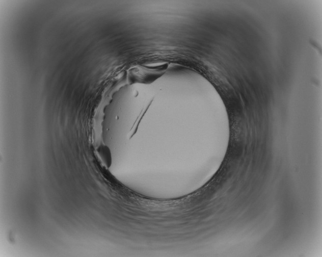 X0000097770031200803281649