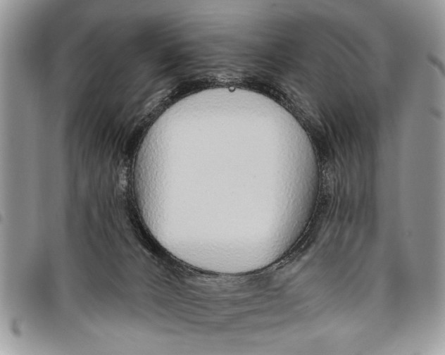 X0000097770032200803281649