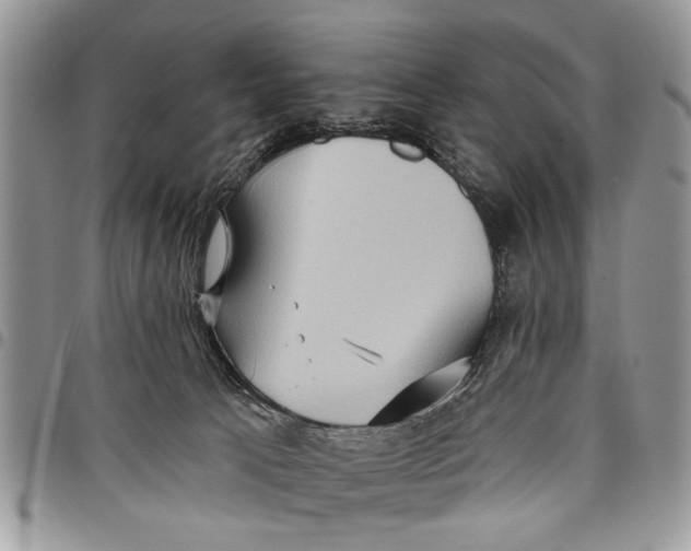 X0000097770033200803281649