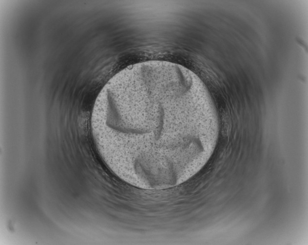 X0000097770034200803281649