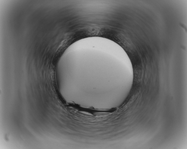 X0000097770035200803281649