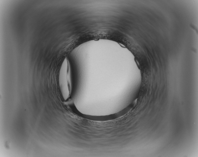 X0000097770037200803281649