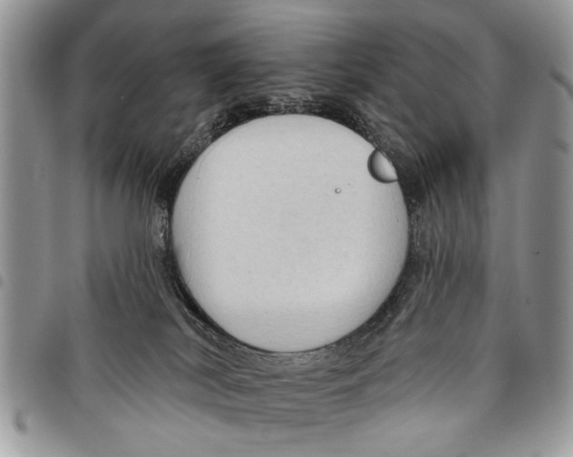 X0000097770038200803281649