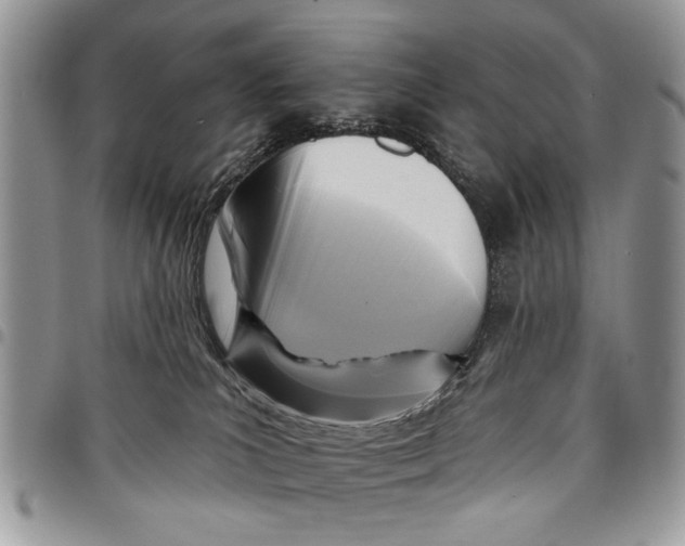 X0000097770039200803281649