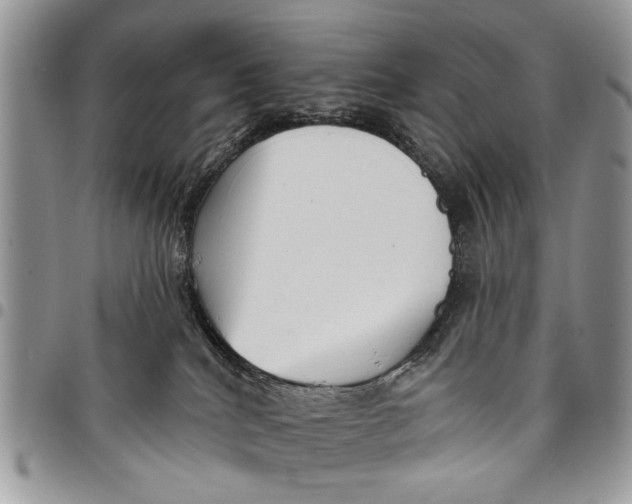 X0000097770040200803281649