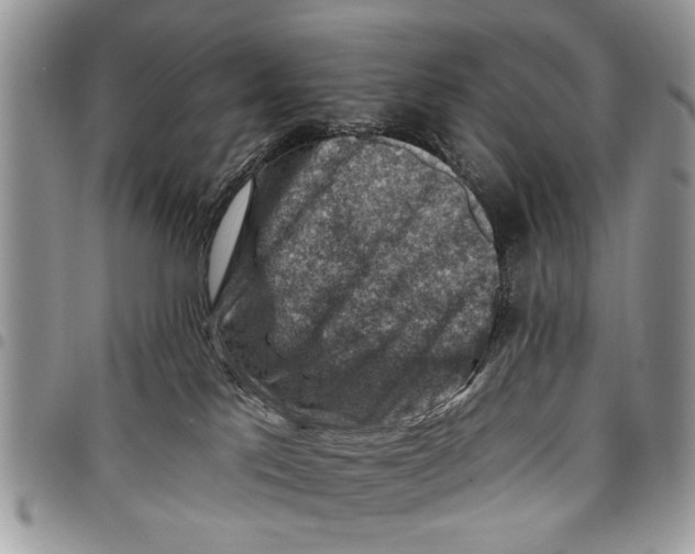 X0000097770041200803281649