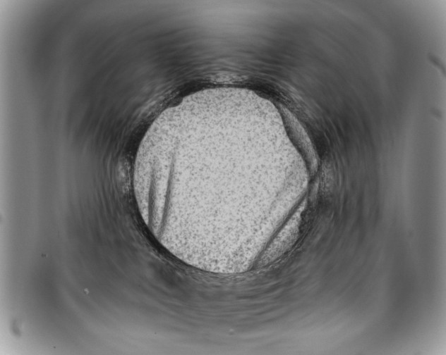 X0000097770043200803281649