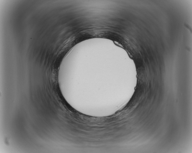 X0000097770044200803281649