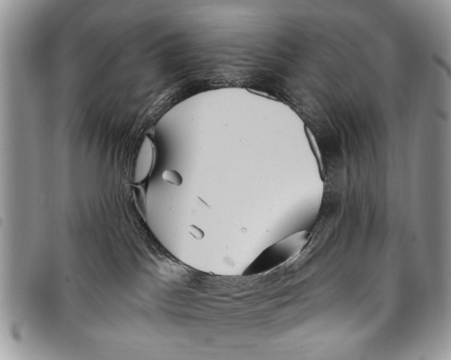 X0000097770045200803281649