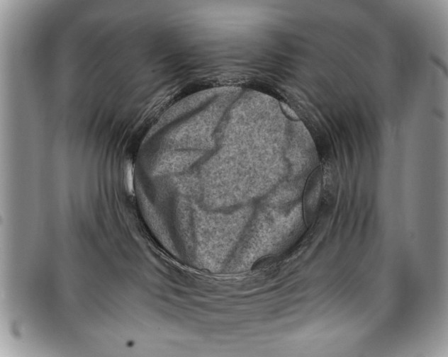 X0000097770046200803281649