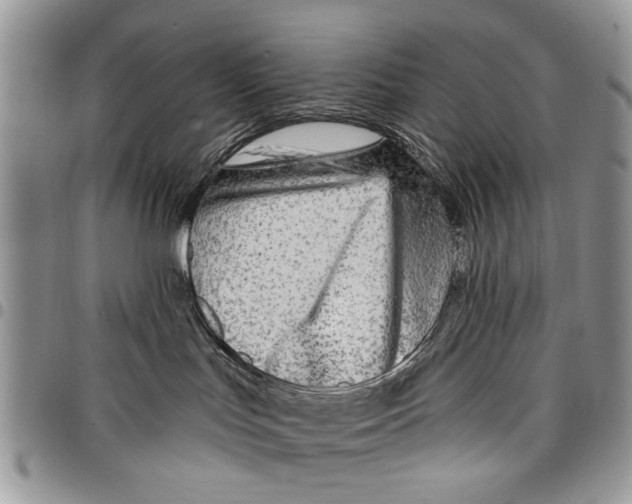 X0000097770047200803281649