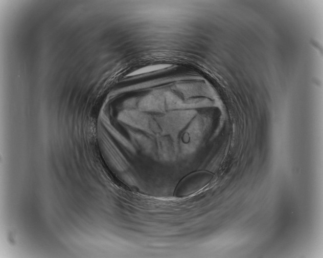 X0000097770048200803281649