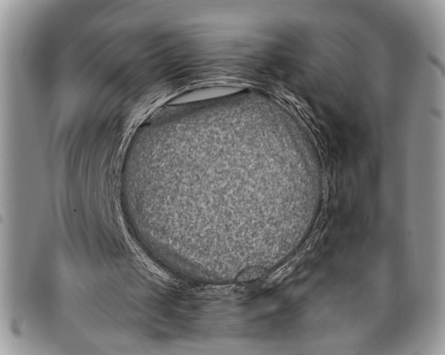 X0000097770049200803281648