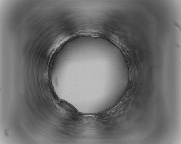 X0000097770050200803281648