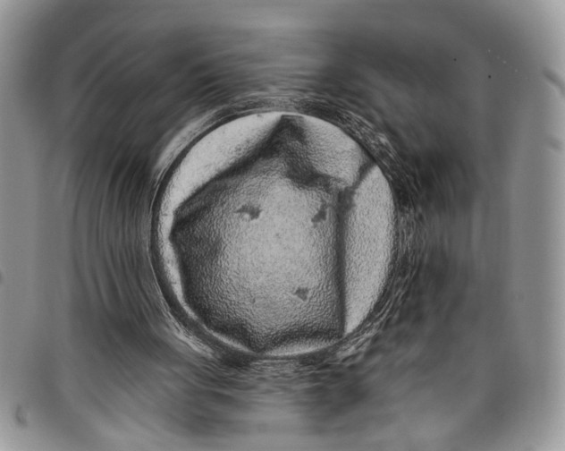 X0000097770051200803281648