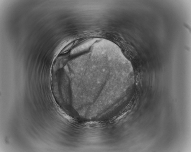 X0000097770052200803281648