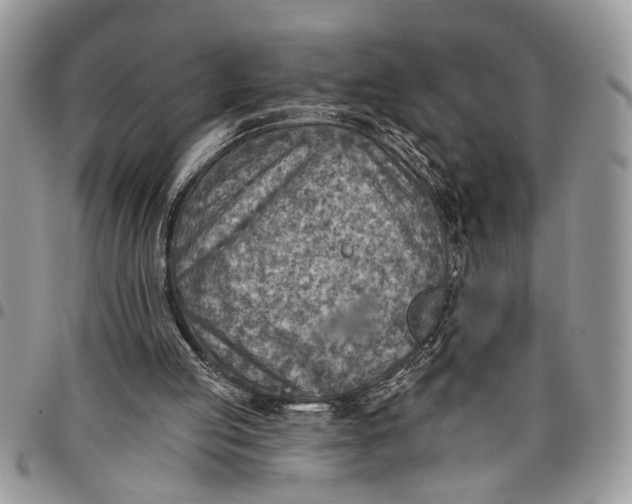 X0000097770053200803281648