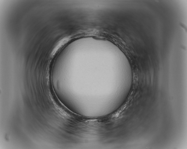 X0000097770054200803281648