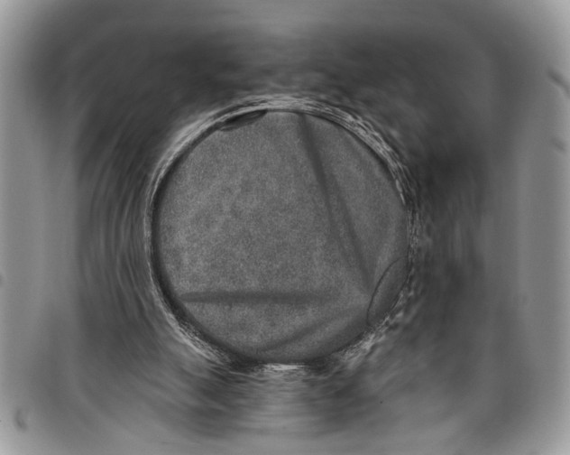 X0000097770055200803281648