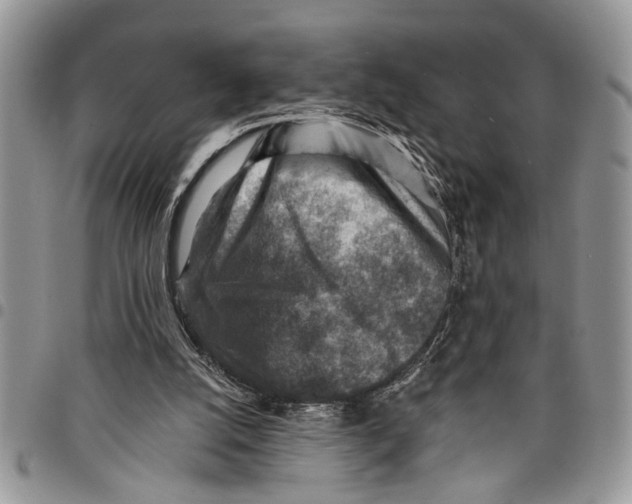 X0000097770056200803281649