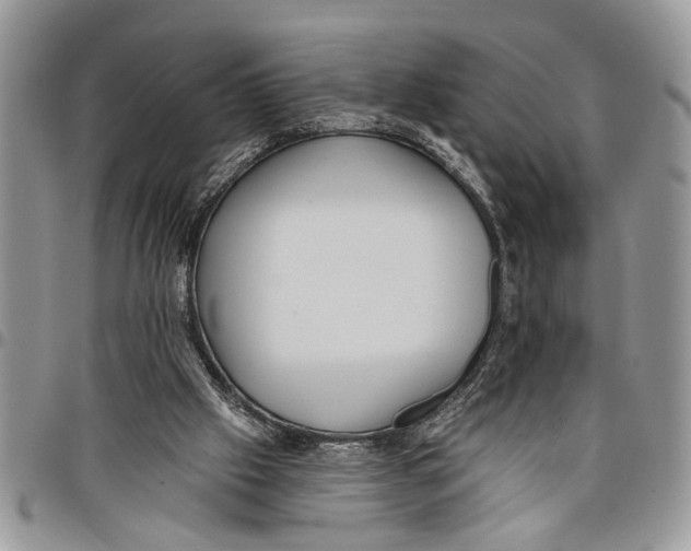 X0000097770057200803281649