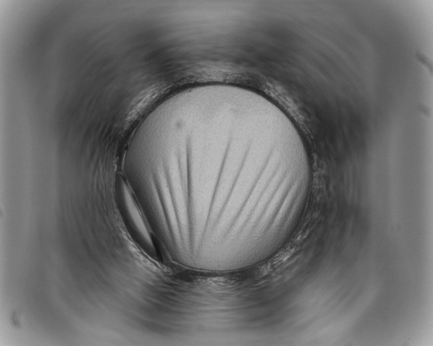 X0000097770058200803281649