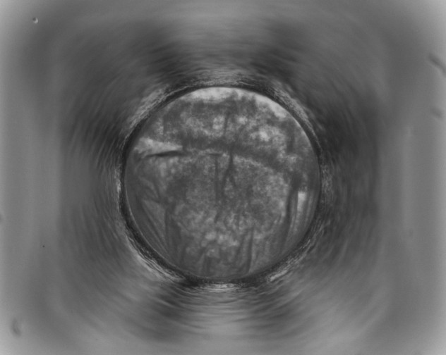 X0000097770059200803281649