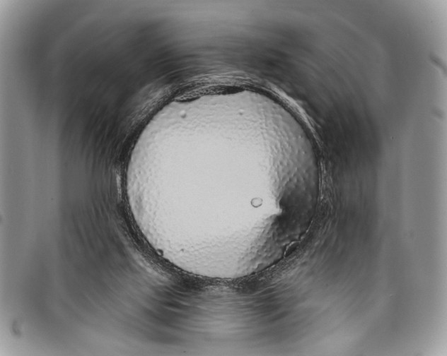 X0000097770061200803281649