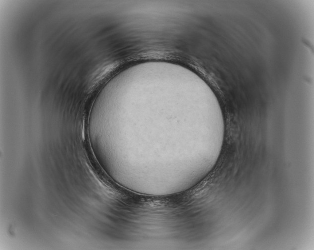 X0000097770062200803281649