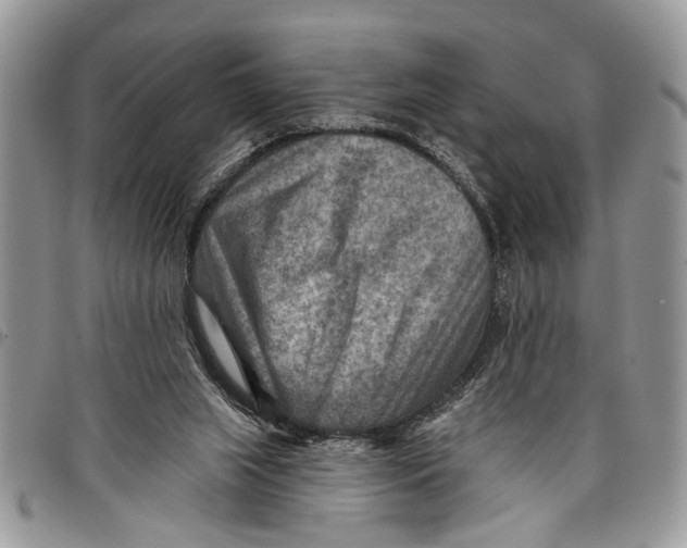 X0000097770063200803281649