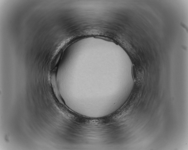 X0000097770064200803281649