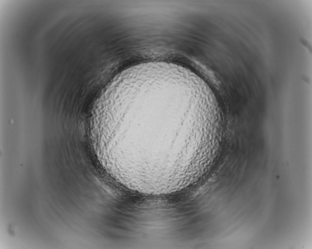 X0000097770065200803281649