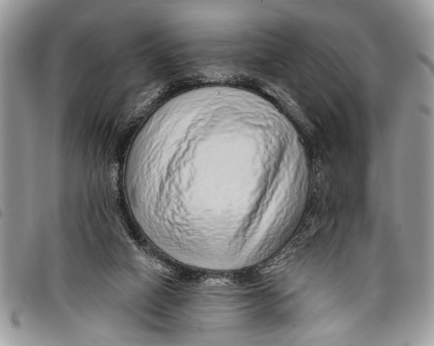 X0000097770066200803281649