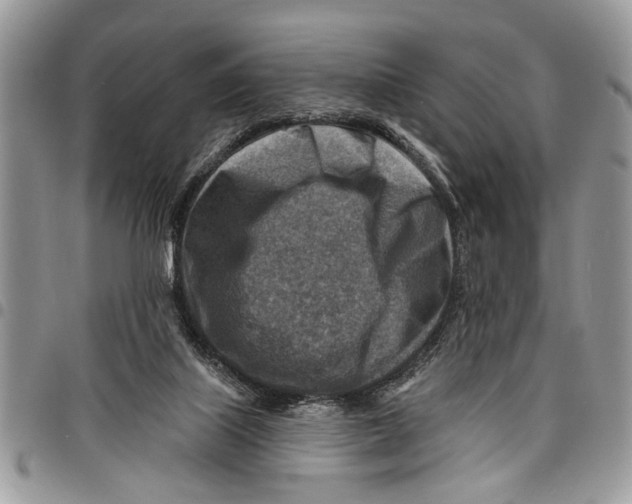 X0000097770067200803281649