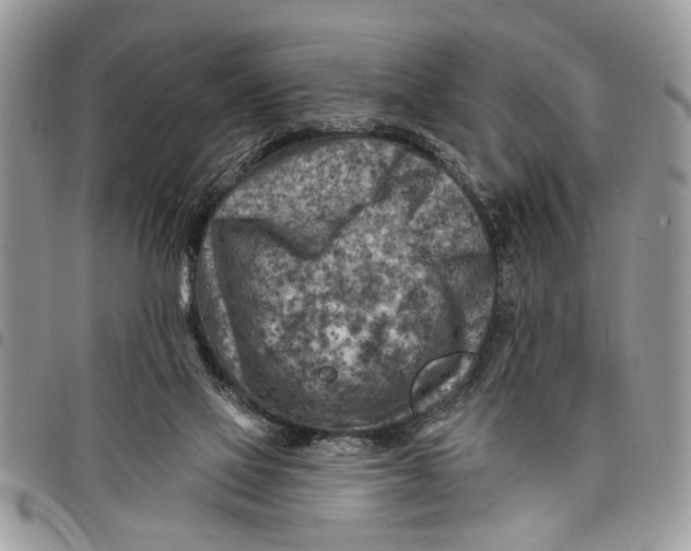 X0000097770069200803281649