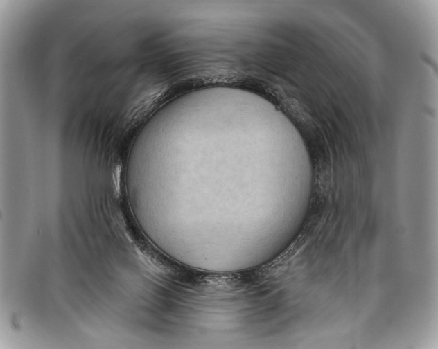 X0000097770070200803281649