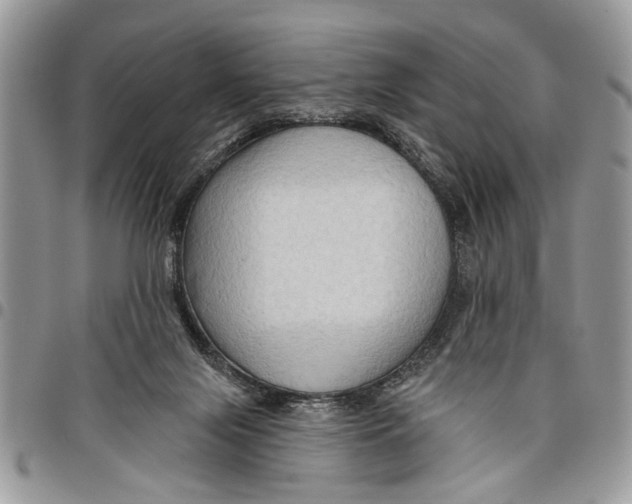 X0000097770071200803281649